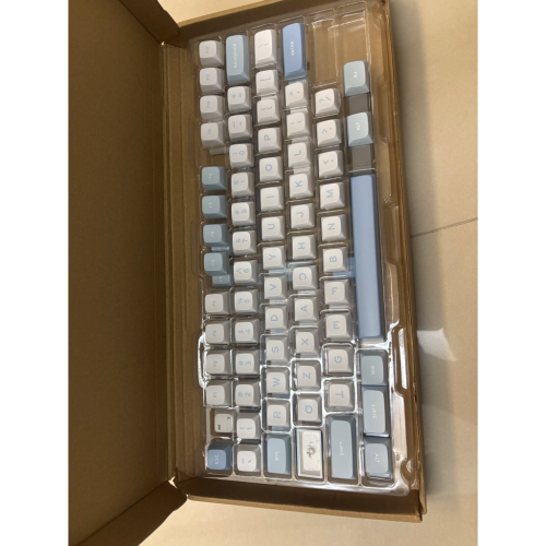 拆機鍵帽 100配列 MDA高