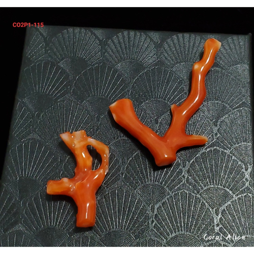 ?Coral珊寶手作-天然阿卡珊瑚自然枝(無孔) CO2P1-115