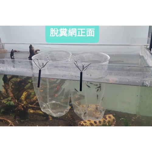 蝦子脫糞專用網