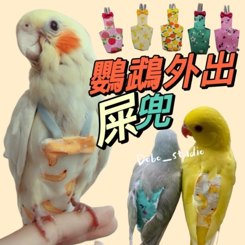 鳥我一下好嗎?鸚鵡外出屎兜 鳥用尿不濕 鸚鵡外出衣 鳥衣服 屎兜 尿布 金輪 凱克 橫斑 牡丹 太平洋 包屁衣 鳥用品